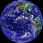 images_356